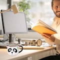 Miniatyrbillede 4 af 4: Keramisk Panda Kops 320ML Vandkop Drikkemug Vandkrus Sjov Sød Kaffe Kop Keramisk Dyr Kaffe Kop til Varmt