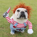 Hundekostumer Dyrefestkostumer Cosplay Kæledyrskostumer size:S