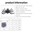 Miniatyrbillede 6 af 8: Halloween Mode Kattetøj Edderkop Kiste Kæledyr Cosplay Sort Medium double extra large