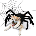 Miniatyrbillede 1 af 8: Halloween Mode Kattetøj Edderkop Kiste Kæledyr Cosplay Sort Medium large