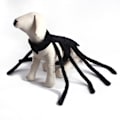 Miniatyrbillede 5 af 8: Halloween Mode Kattetøj Edderkop Kiste Kæledyr Cosplay Sort Medium double extra large