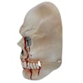 Miniatyrbillede 3 af 5: Halloween Cosplay Party Latex Maske Stil Karneval Hovedbeklædning C