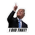 Pikkukuva 1 / 5: 100 KPL I Did That -tarroja, Hauskoja I Did That -tarroja 100PCS