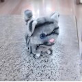 Miniatyrbilde 2 av 2: Min Realistiske Robotkatt, robotkatt som oppfører seg som en ekte katt, realistisk halevifting og gående kjæledyr for voksne eiere Grey