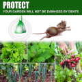Miniatyrbild 3 av 5: Råttgiftpiller Pack Rodenticid Trädgård Hushåll Bilmotor Råtta Ekorre Gnagare Avskräckande 20pcs