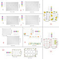 Miniatyrbild 3 av 11: Akryl Magnetic Weekly Planner Kalender för Kylskåp Dry Erase Board null - TYU056 Combination