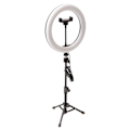 Miniatyrbild 4 av 5: Selfie Ring Light 10 tums stativ Skrivbords Circle Light Stativ för Live Streaming Smink Fotografering