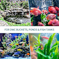 Miniatyrbilde 5 av 5: Akvarium 10cm Luftsten Bobler Diffuser Utgivelsesverktøy For Luftpumper Fiskekummer Bøtter Dammer Og Tanker Dwc-2 Pakk