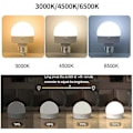 Miniatyrbilde 3 av 5: 2 stk E27 Ladbare Lyspærer med 3 Fargetemperaturer, Bordlampe med Fjernkontroll og Timer