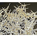 Miniatyrbild 3 av 5: 100-pack 33mm Chandelier Lampdelsförbindelser Chlips Bowtie Pins för Fästning av Kristaller Pärlor Chandelier Ersättningar Belysningstillbehör (go