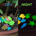 Miniatyrbillede 2 af 4: 200 stk. lysende sten, fluorescerende sten, farverige lysende sten, natsten, til akvarium havedekoration