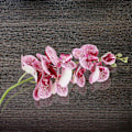 Miniatyrbillede 4 af 5: 2 stk. Kunstige Phalaenopsis Blomster Simulerings Sommerfugl Orkide Hjem Kontor Dekoration (Lilla)