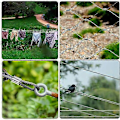Miniatyrbillede 3 af 4: 225 Dele M1.2-M5 Rustfrit Stål Wire Rope Lugs og Krympehylstre Aluminiumsklips Sæt, Krympe Loop Hylstre til Wire Rope Lug Rigging