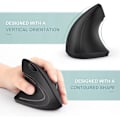 Miniatyrbillede 5 af 5: 2,4 GHz, Bluetooth Trådløs Ergonomisk Vertikal Mus med 6 Knapper og 3 Justerbare DPI 800/1200/1600