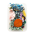 Miniatyrbillede 5 af 5: 1 Æske Ægte Tørrede Blomster Til DIY Kunst Håndværk Epoxy Harpiks Fremstilling NE Smykker T7Z4