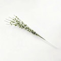 Miniatyrbillede 1 af 4: Simuleret Jule-Guldpulver Blomster Dekorationer Juletræ DIY Tilbehør Beskæringsskumkugle Guldpulver Paljetter Bundter