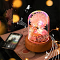 Miniatyrbilde 5 av 5: Ønske Streamer Flaske Valentinsdag Gave Bluetooth Høytaler Nattlys