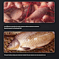 Miniatyrbillede 4 af 5: Fiskeattraktor til Ørred Torsk Karpe Bas Additiv Fiske Agnsprøjte Stærk Insektsvæske Orm Væske Fiskeværktøjer Rød Insektsvæske