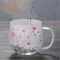 Miniatyrbild 2 av 5: Sakura Mug Glasmugg Med Teinfuserfilter & Lock Cherry Blossoms Kopp Set Blossoms Blomster Tekopp 300
