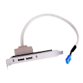 Miniatyrbillede 5 af 5: Computer Braket Motherboard 9pin Til 2 Porte Usb 2.0 Hunkontakt Bagpanel