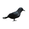 Miniatyrbild 1 av 3: Ealistisk svart fjäderkråka för Halloween-dekorationer