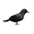 Pikkukuva 1 / 3: Ealistic Crow Musta Sulkakorppi Halloween-koristeisiin Linnut