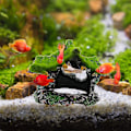 Miniatyrbilde 4 av 4: Harpiks Akvarium Hus Fisk Reke Reir Flokking Mose Gjemmested Fisk Tank Landskap Ornament