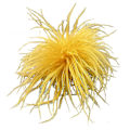 Miniatyrbild 1 av 5: Fjäderbrosch Fjädrar Corsage Kläddekorationer Material Strutsfjäder gold