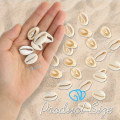 Miniatyrbild 2 av 5: 120 st öppna baksida naturliga spiralformade skalpärlor släta skurna ovala snäckor strand snäckor cowrie skal charm pärlor med stort hål 5,5 meter svart vaxad
