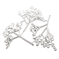 Miniatyrbillede 1 af 5: Tørrede blomster metal skæredør stencil DIY Scrapbooking album papir kortform