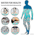Miniatyrbillede 3 af 3: Hydrogen Generator Vandflaske, Real Molecular Hydrogen Rich Water Generator Ionizer Maker Machine Flaske Med Spe Chamber Technology Hydrogen Vand