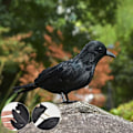 Pikkukuva 2 / 3: Ealistic Crow Musta Sulkakorppi Halloween-koristeisiin Linnut