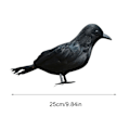 Pikkukuva 3 / 3: Ealistic Crow Musta Sulkakorppi Halloween-koristeisiin Linnut