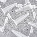 Miniatyrbild 2 av 3: 500 st små provrör mikrocentrifugbehållare plast centrifugrör centrifugrör kan plast centrifugrör