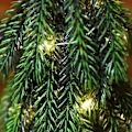 Miniatyrbild 3 av 5: Flockad Konstgjord Julgran Skrivbordsceder Julgran