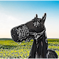 Miniatyrbilde 3 av 5: Gratis frakt Easy Breathe Horse Grazing Muzzle, fôringsbrems. Størrelsen er justerbar (te1005)