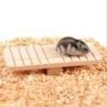 Miniatyrbillede 1 af 2: Kæledyrsbur Legetøj Sjovt Vippebræt Legetøj Kæledyr Hamster Træ Motionslegetøj Legetøj Kæledyr Legeplads Legetøj