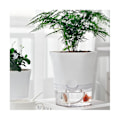 Miniatyrbilde 3 av 5: Hydroponisk automatisk vannabsorberende saftig blomsterpotte selvvannende blomsterpotte hydroponisk lat