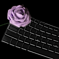 Miniatyrbillede 5 af 5: 15,6\" bærbar tastaturbeskytter til Nx580 Yx570ud,yx570zd