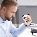 Miniatyrbilde 5 av 5: Panda Stress Relief Hand Fidget Sensory Toy - Søt og holdbar, langvarig, Pop Out Eyes - Squeeze Toy for barn og voksne