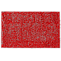 Miniatyrbillede 3 af 3: Super blødt absorberende skridsikkert mikrofiber chenille bademåtte, rød