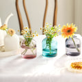 Miniatyrbilde 3 av 4: 400 ml Aromaterapi-flaske - Glassflaske Tom flaske Innendørs Brannfri Aromaterapi-flaske