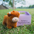 Pikkukuva 3 / 4: Adoptoi Highland Cow -pehmolelu, söpö lehmän pehmoeläin, pörröinen lehmän hahmo, uusi lelu