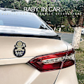 Miniatyrbild 4 av 5: Bilsticker På Brädet Bilsticker För Octavia A B