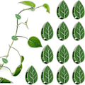 Miniatyrbillede 3 af 3: 50 stk. Plante klatrevæg