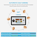 Miniatyrbilde 5 av 5: ZFX-W9002 Smart Termostat Digital Temperatur og Fuktighetskontroll Inkubator 360 Automatisk Eggvending