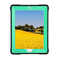 Miniatyrbilde 2 av 5: Topp mynte støtsikker Defender Hard Case Cover for Apple iPad Pro 10.5 Beste gaver