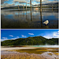 Pikkukuva 5 / 5: Zomei 52mm Ultra Slim Cpl Circular Polarizing Polarizer -suodatin DSLR-kameralle