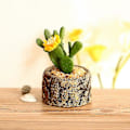 Miniatyrbild 2 av 4: Konstgjord kaktus falsk växt prydnader mini liten krukväxt gul blomma kaktus skrivbordsinredning