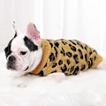 Miniatyrbild 4 av 5: FAMKIT Hundtröja Vinterstickad Leopardmönstrad Valp Varma Kläder Gray L(Fit for 13.2-15.4lb)